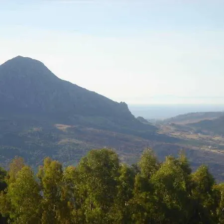 Caballo Andaluz
